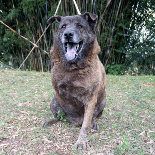 Max