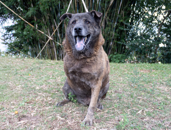 Max